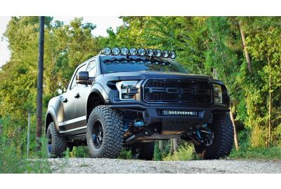 2019 Ford F-150 Platinum Gets Menacing V8 Raptor Treatment