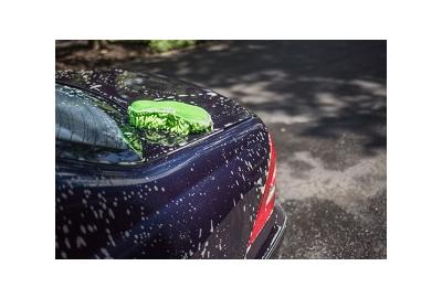 What Is the Best Way to Protect the Paint on a Brand New Car or Truck?