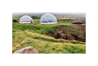 Newfoundland and Labrador's rugged landscape is well-known pickup habitat