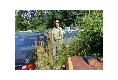 Michigan Man Forced To Sell 20 Cars A Month Has Scrapped 'At Least 75' Cars